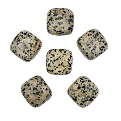 Dalmatian Jasper Tumbles