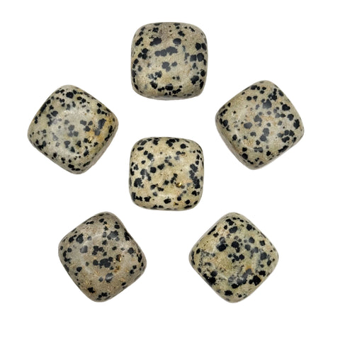 Dalmatian Jasper Tumbles